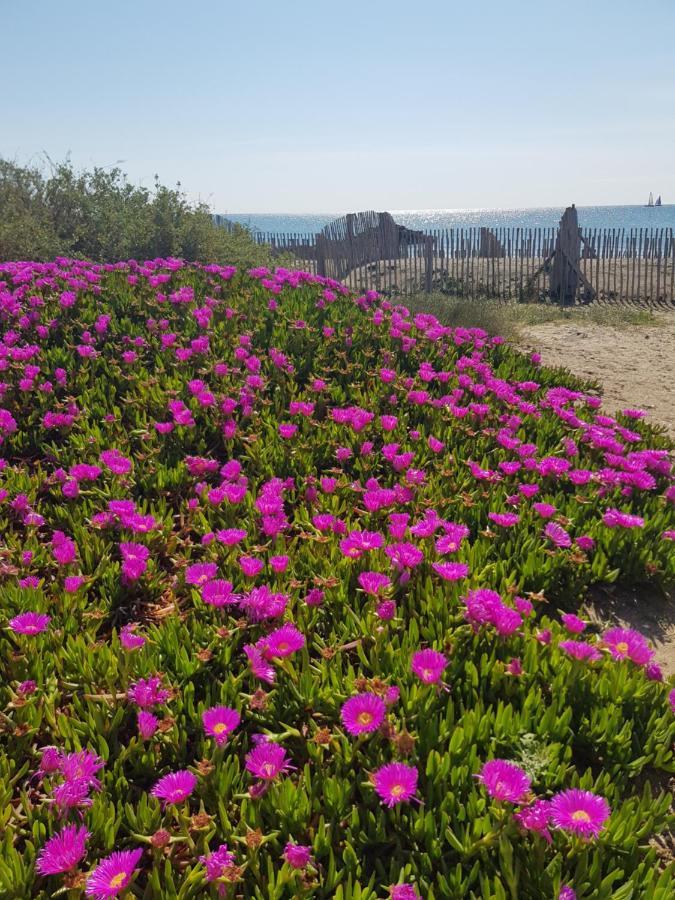La Rose Des Sables, T2 A La Mer, Terrasse Et Garage フロンティニャン エクステリア 写真