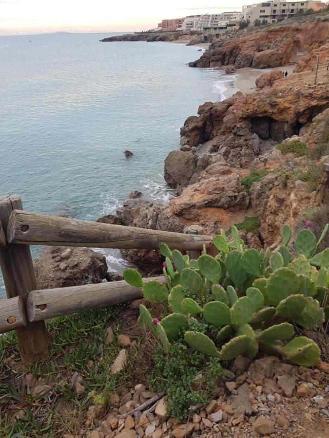 La Rose Des Sables, T2 A La Mer, Terrasse Et Garage フロンティニャン エクステリア 写真